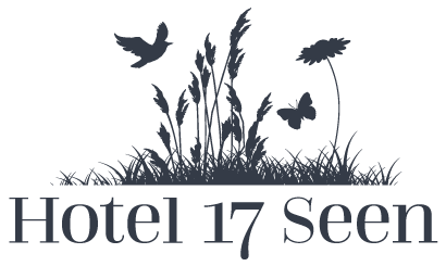 Logo Hotel 17 Seen